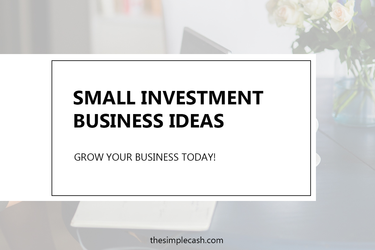 Small Investment Business Ideas That Makes Real Money